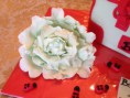 /album/flower-cakes/a454-jpg/